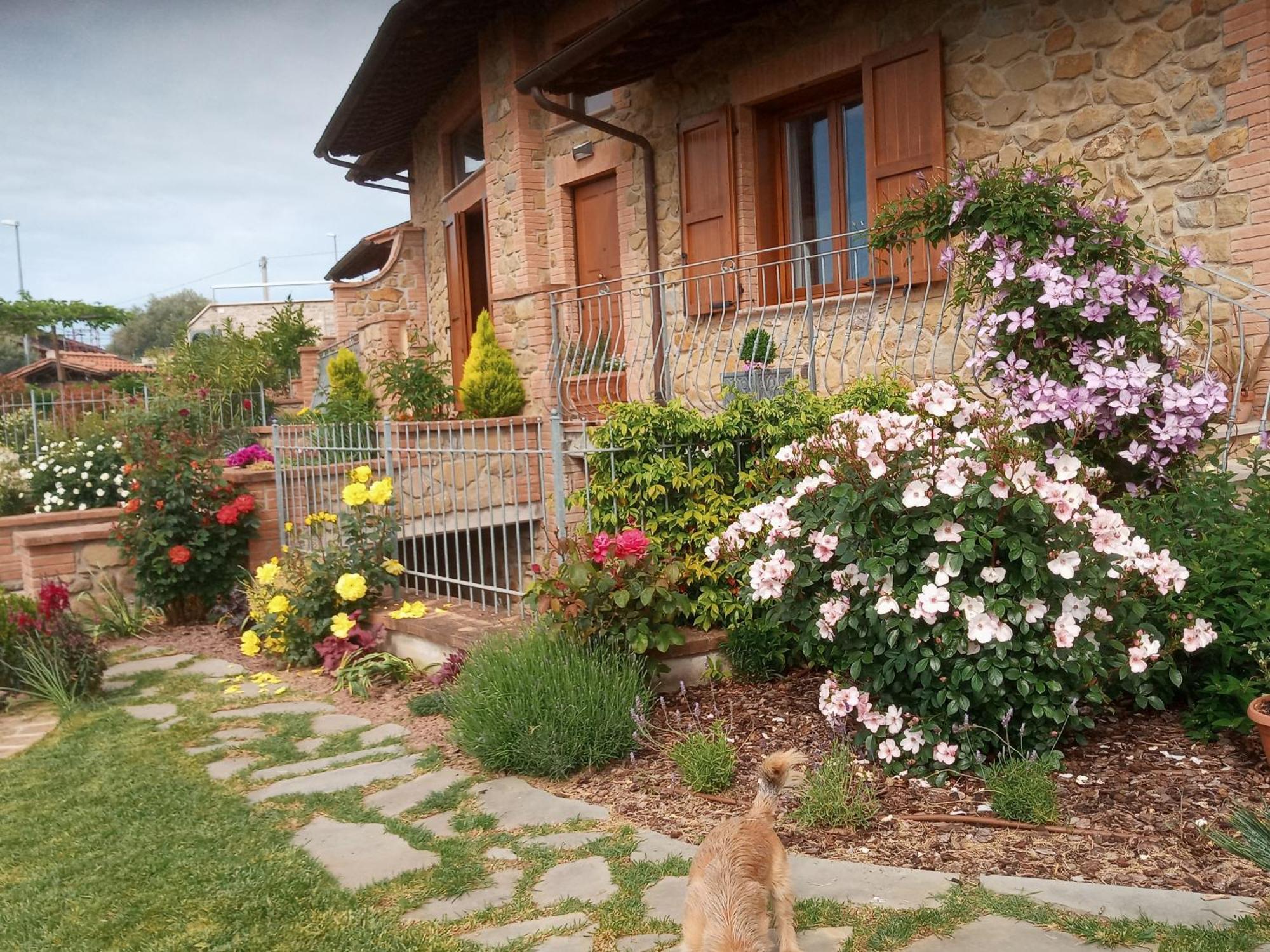 Hotel Olivo Bonsai Passignano sul Trasimeno Exterior foto